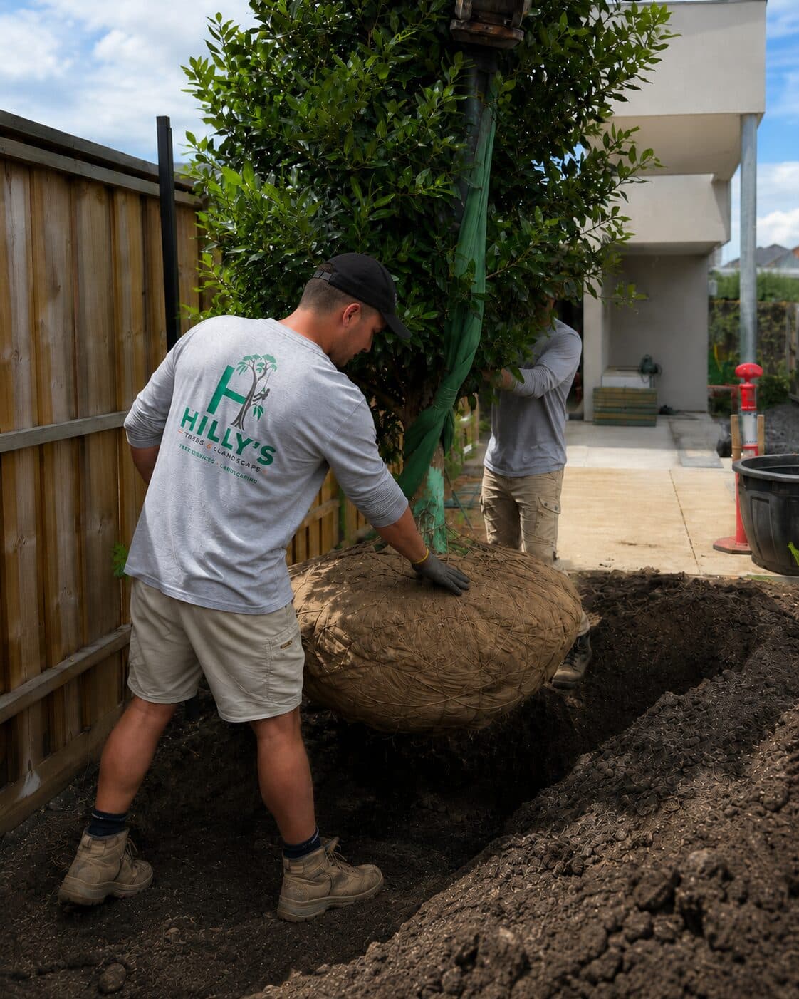 Planting & Transplanting